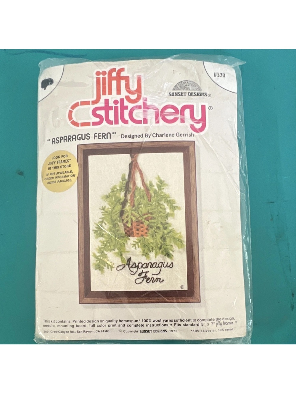 Vintage Asparagus Fern Wall Hanging Kit - Green
